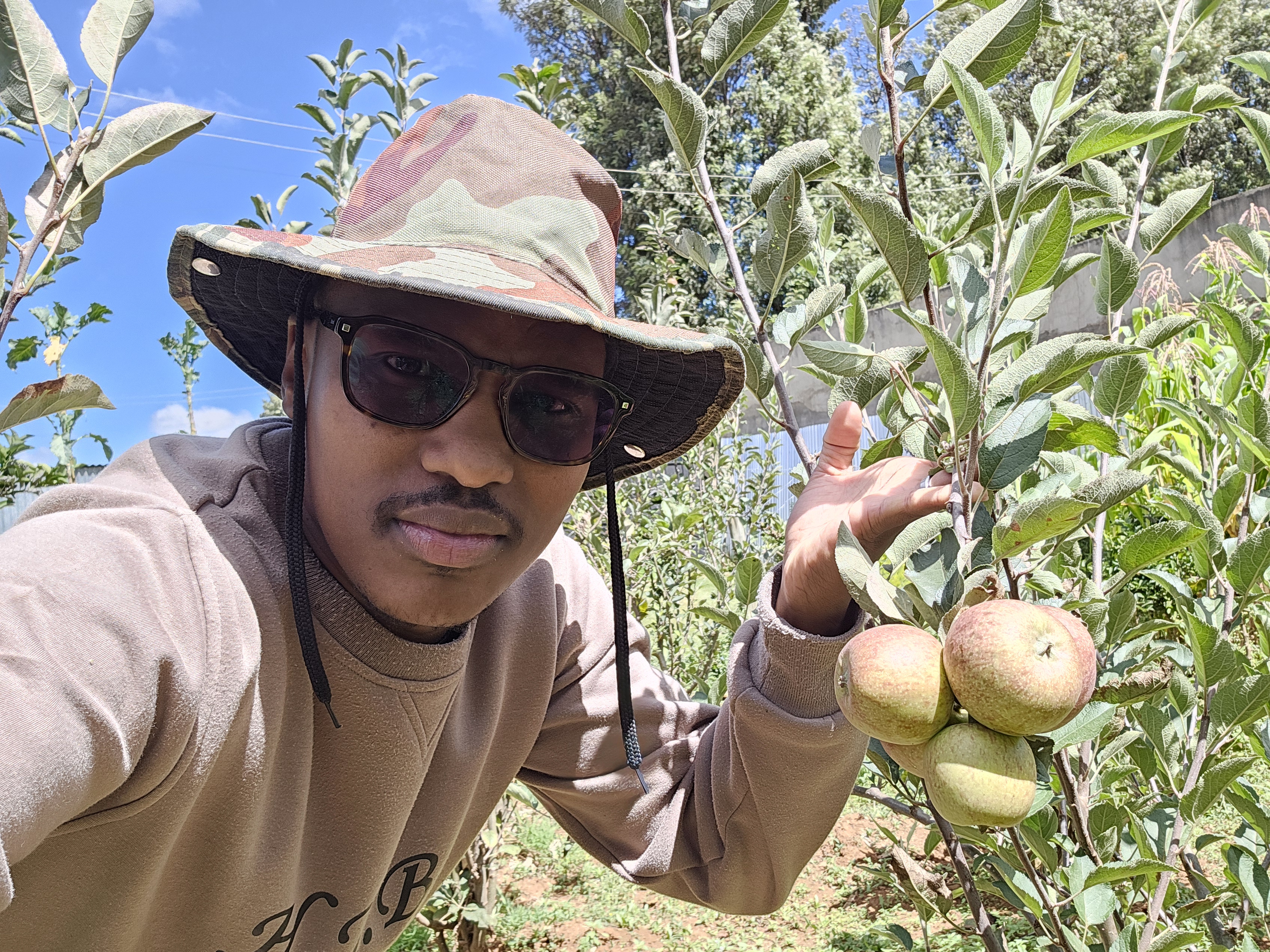 Agronomy Ventures: Coffee & Apple Cultivation